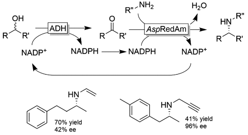 Scheme 26