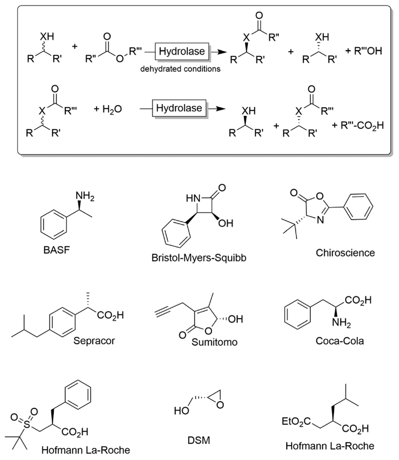 Scheme 1