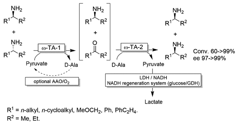 Scheme 18