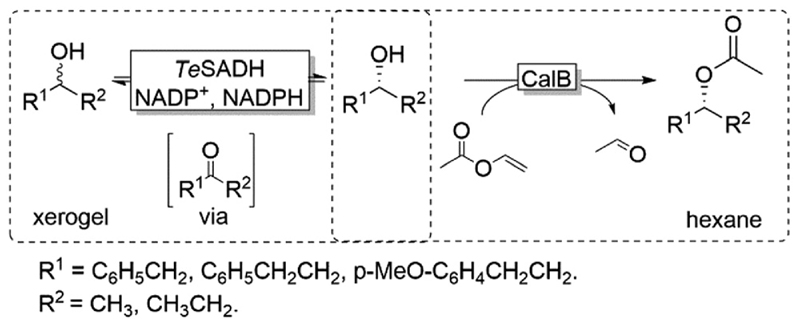 Scheme 5