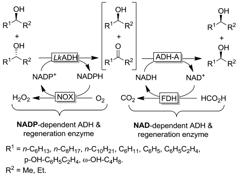 Scheme 13