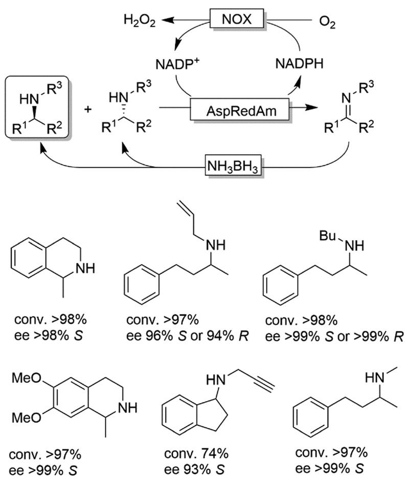 Scheme 11