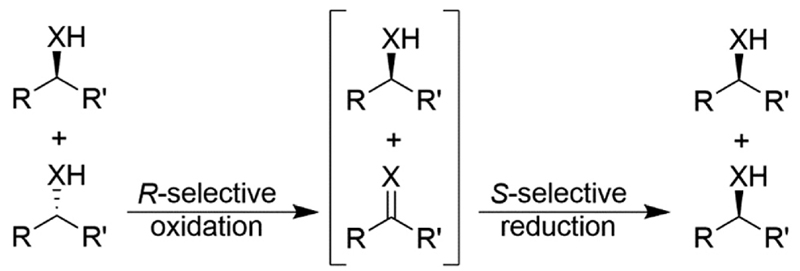 Scheme 12