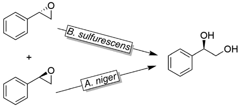 Scheme 32