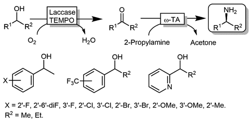 Scheme 24