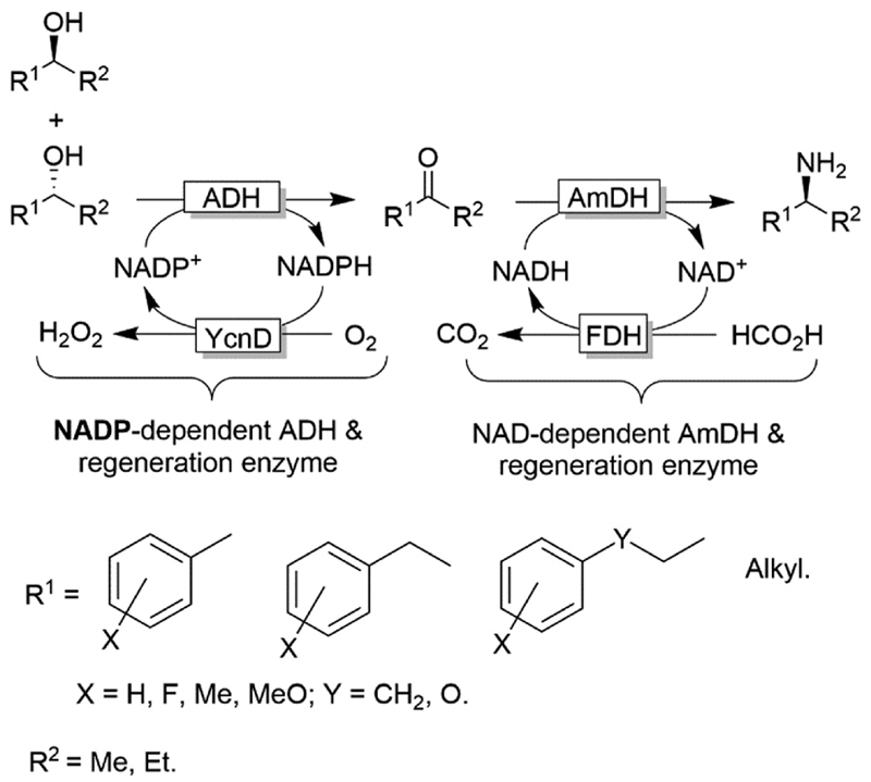 Scheme 27