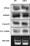 Extended Data Figure 5