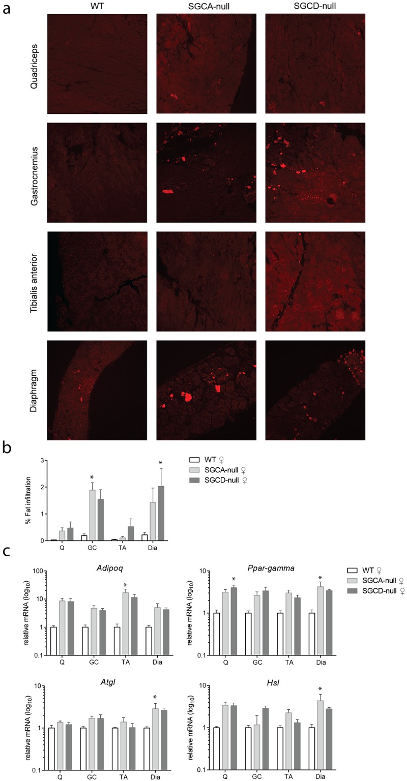 Fig 4