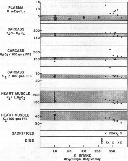 graphic file with name jcinvest00345-0099-a.jpg