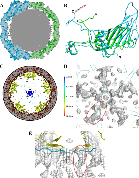 FIG. 4.