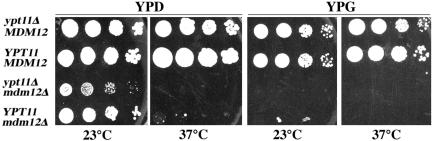 Figure 7.