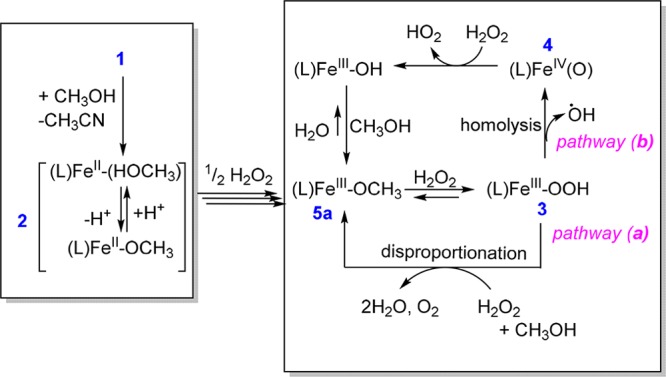 Scheme 1