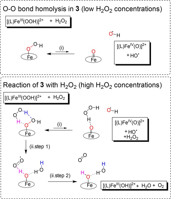 Scheme 2