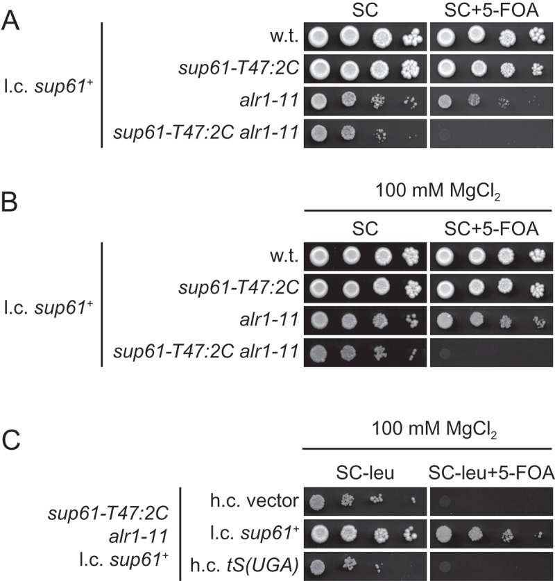 Figure 4.