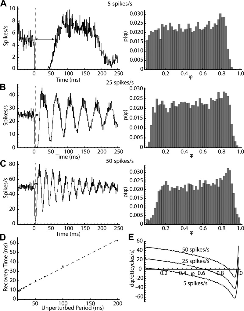 Fig. 11.