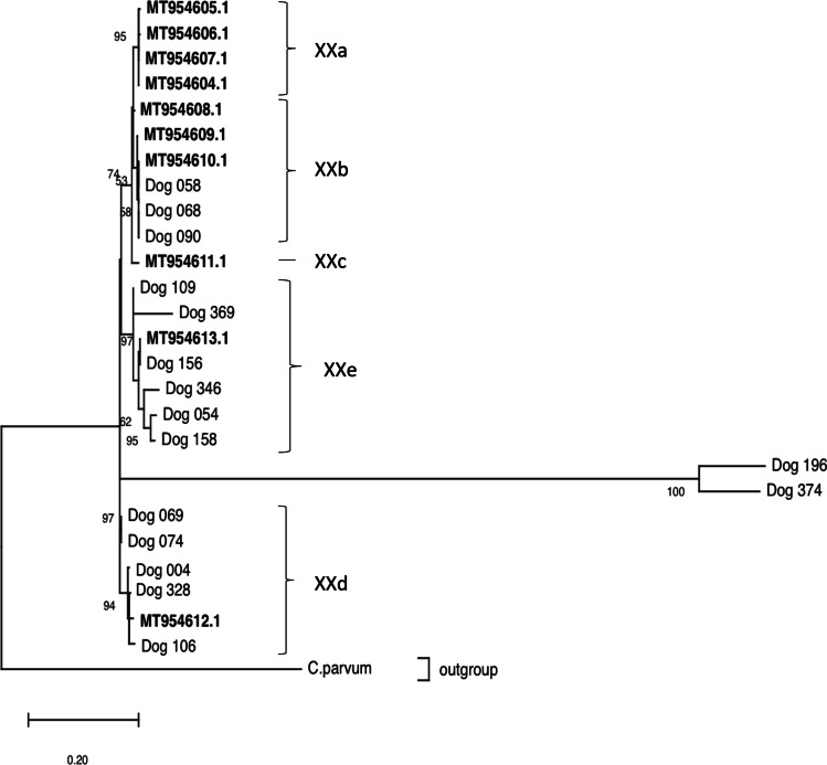 Fig. 1