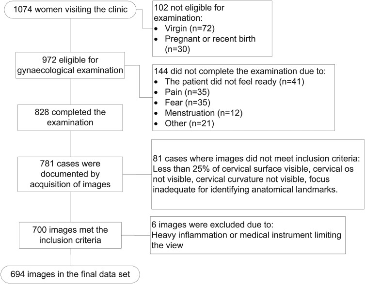 Figure 1