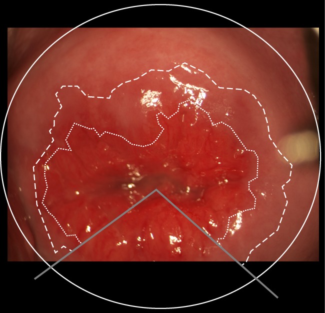 Figure 2