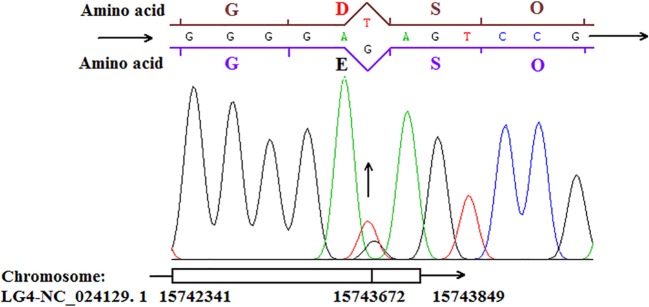 Figure 9