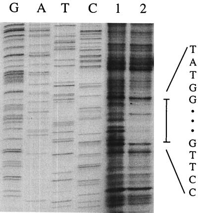 FIG. 5