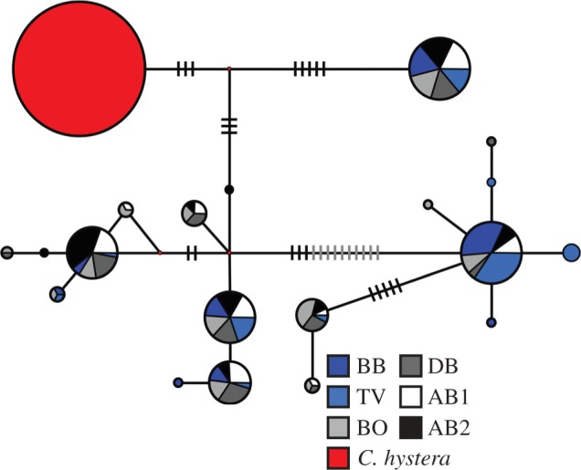 Figure 2.