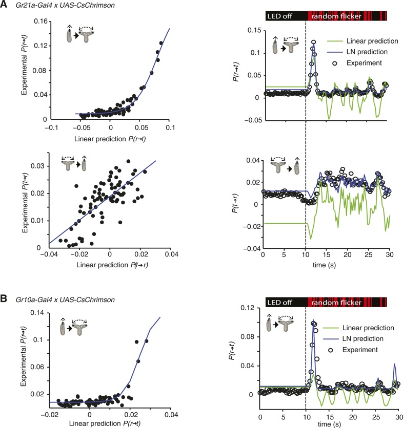 Figure 3—figure supplement 1.