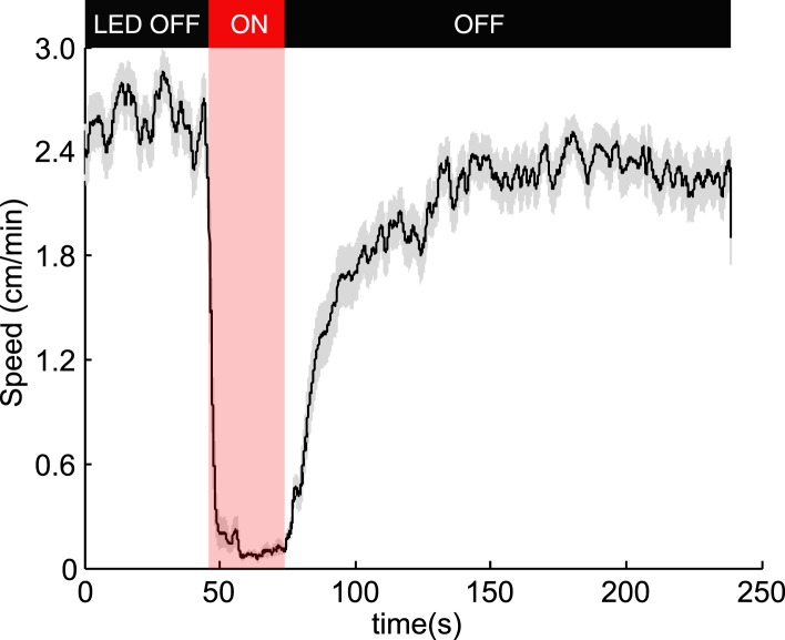 Figure 1—figure supplement 1.