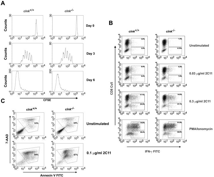 FIG. 2.