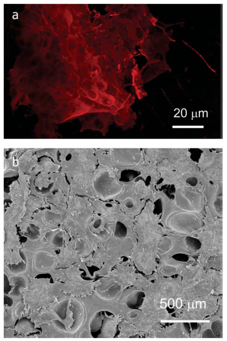 Figure 20