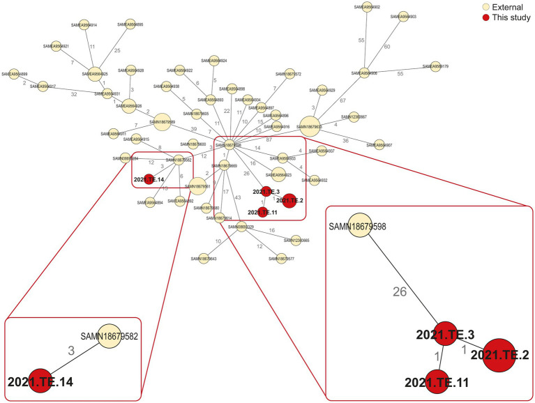 Figure 2