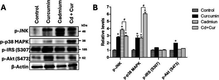 Fig. 4