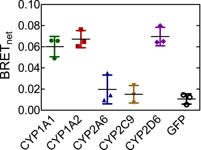 Figure 1