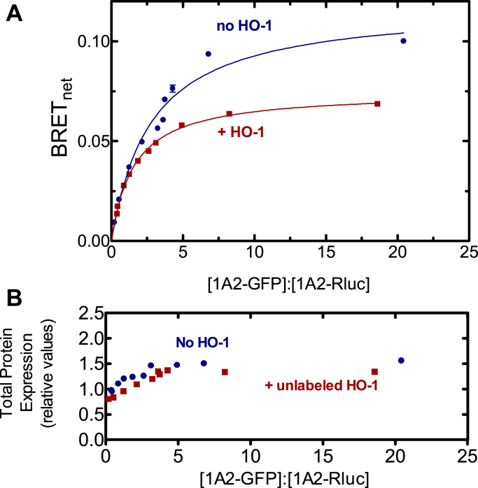 Figure 5