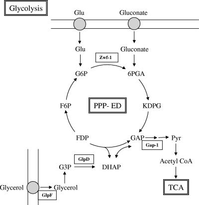 FIG. 3.