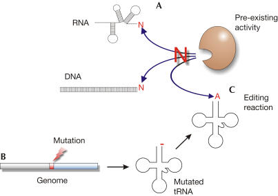 Figure 5