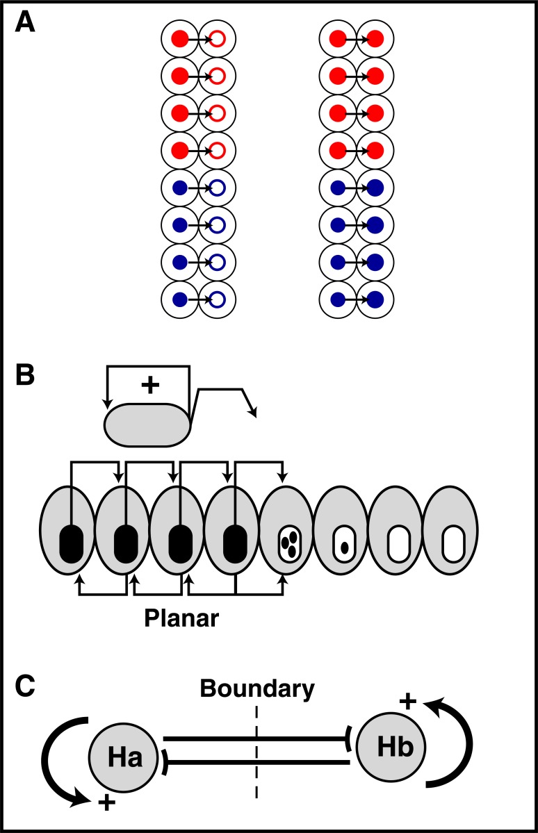 Fig. (12)