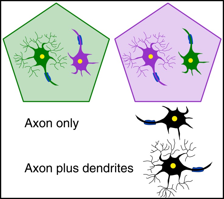 Fig. (1)