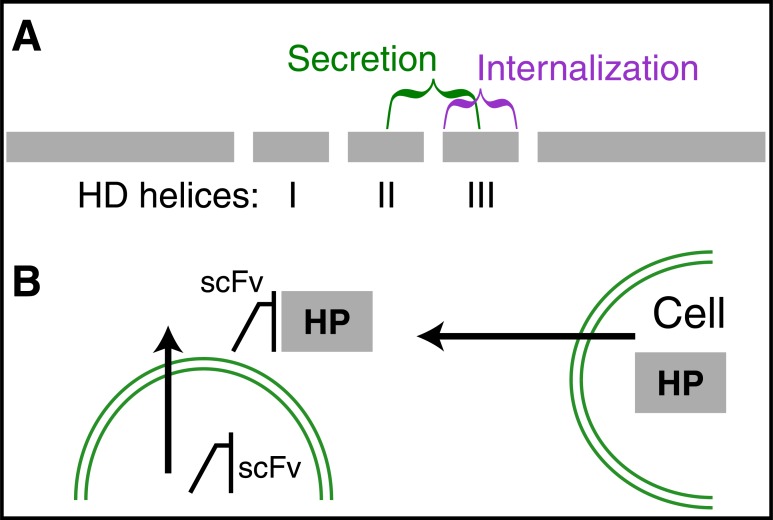 Fig. (2)