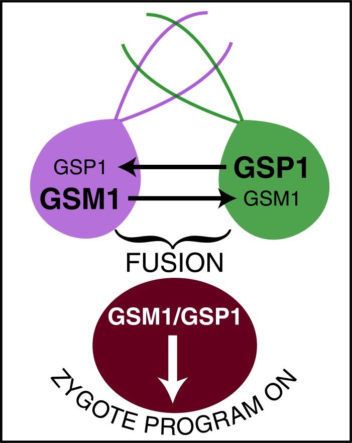 Fig. (4)