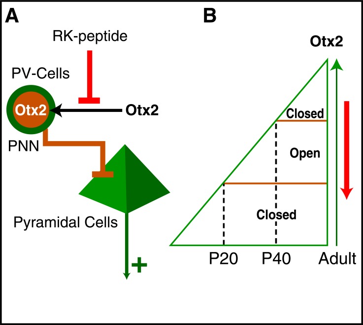 Fig. (10)