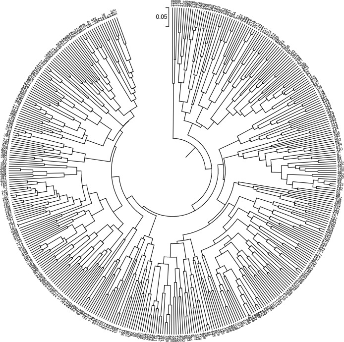 Fig 4