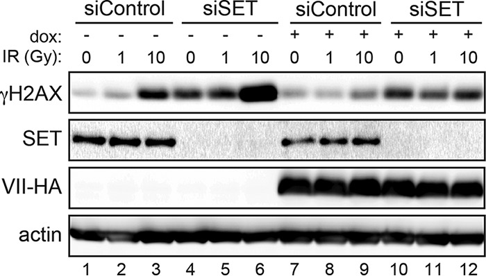 FIG 5