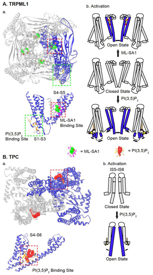 Fig 4.