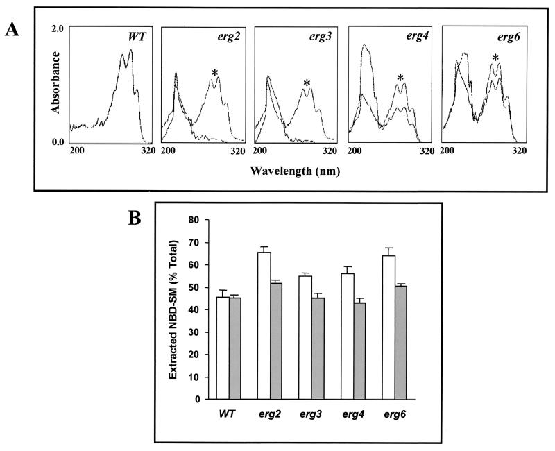 FIG. 7.