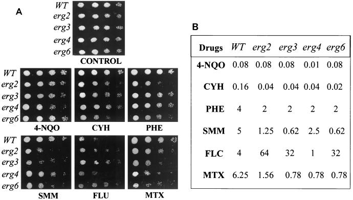 FIG. 4.