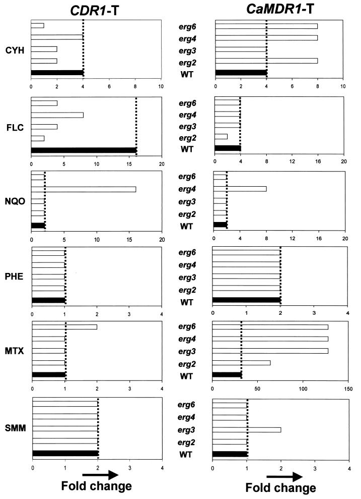 FIG. 6.