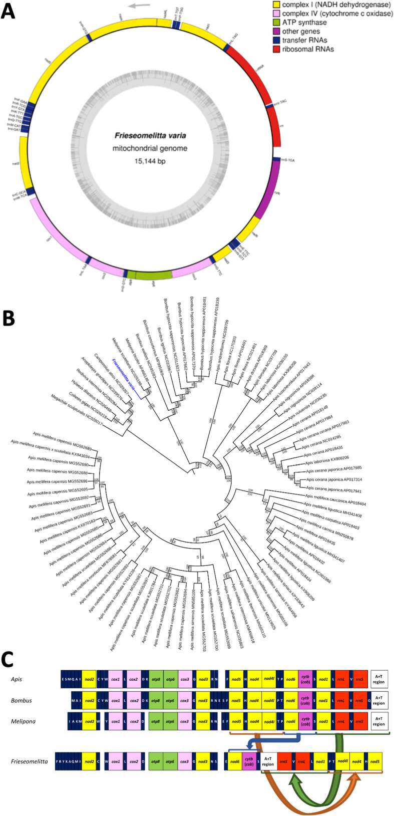 Fig. 4