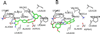 Figure 8