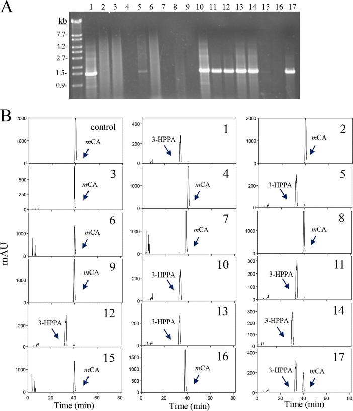 FIG 9