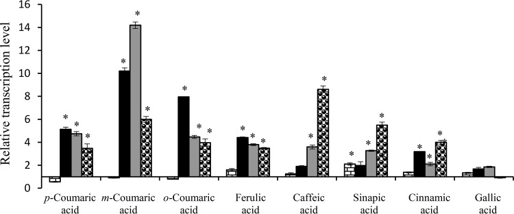 FIG 6